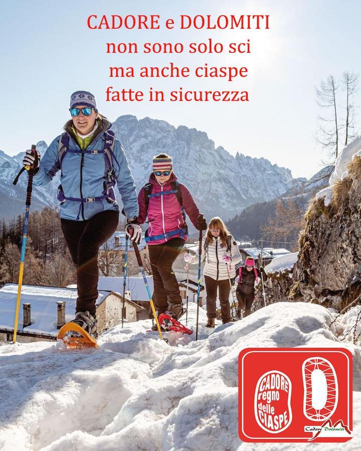 Villa Nani Pieve di Cadore Exteriör bild